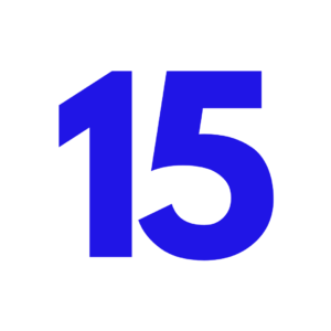 the number 15