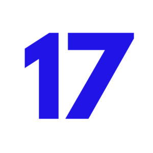 the number 17