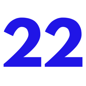 the number 22